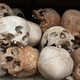 Image for article titled Why Solving Murders Is Going to Get a Lot Harder
